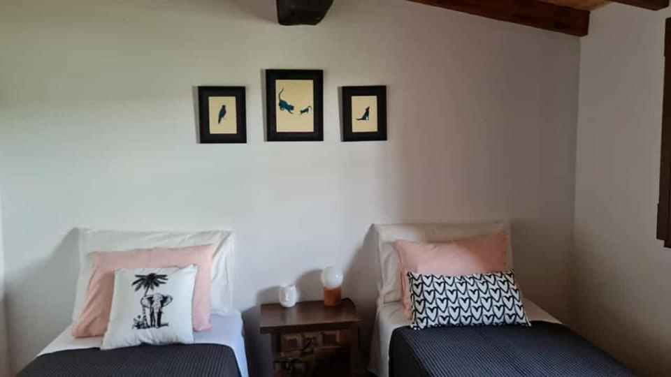הוילה Janeiro de Cima Casa Da Ti Adelia מראה חיצוני תמונה